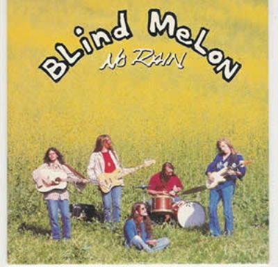 Blind Melon No Rain album cover