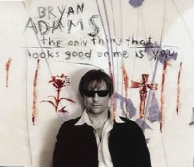 Bryan Adams The Only Thing That Looks Good On Me Is You album cover