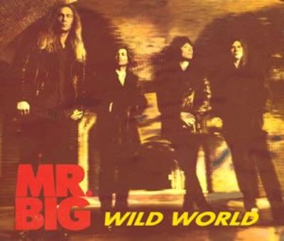Mr Big Wild World album cover