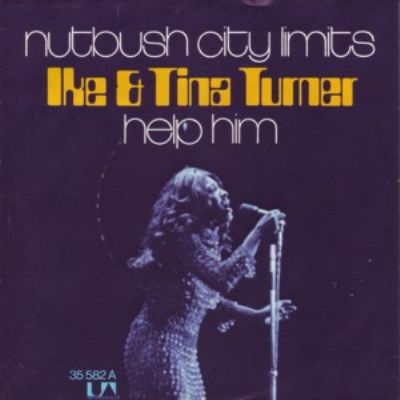 Tina Turner Nutbush City Limits album cover