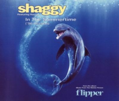 Shaggy In The Summertime album cover