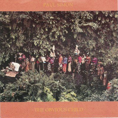 Paul Simon The Obvious Child album cover