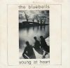 Bluebells Young At Heart album cover