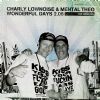 Charly Lownoise & DJ Mental Theo - Wonderful Days