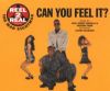 Reel 2 Real & Mad Stuntman Can You Feel It album cover