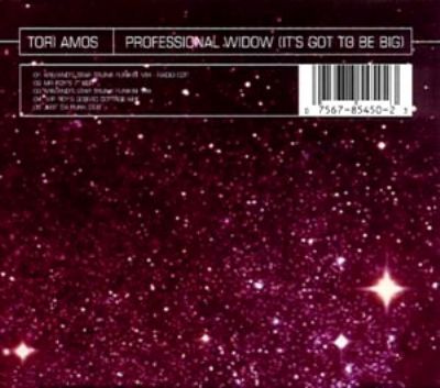 Tori Amos Professional Wid album cover