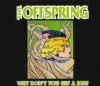 Offspring - Why Don't You Get A Job