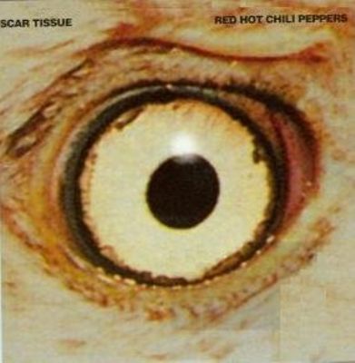 Red Hot Chili Peppers Scar Tissue album cover
