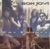 Bon Jovi Dry County album cover