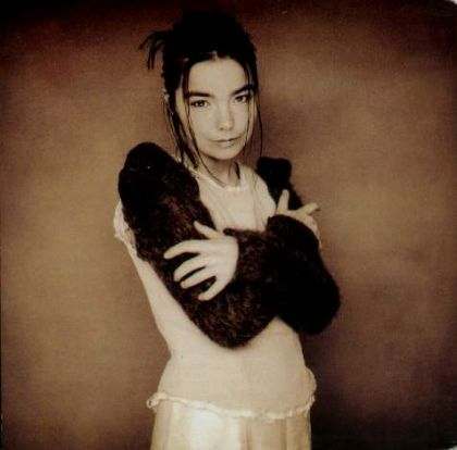 Björk Human Behaviour album cover